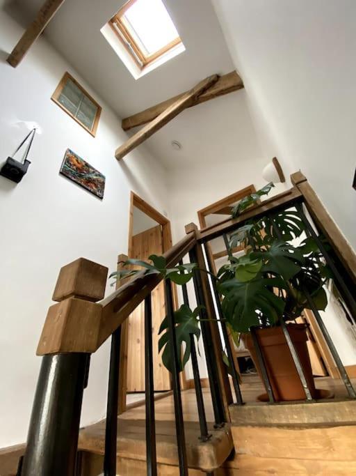 9A Viaduct Cottage - The Cosiest Bolthole In The Sw! Hayle Exteriör bild